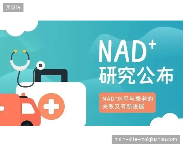 场馆医疗硬件投入大幅增长却未能消解大规模人群心电监测的响应滞后难题 场馆医疗硬件投入大幅增长却未能消解大规模人群心电监测的响应滞后难题